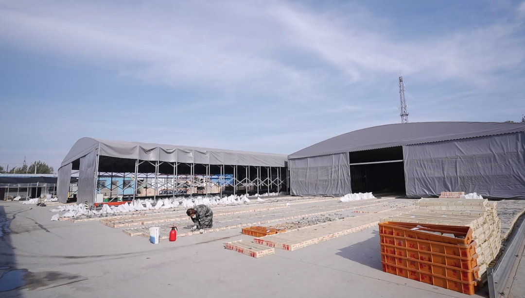 edec85949cf54c41b4b66d200d2477cb